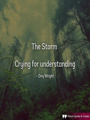 cover image of The Storm